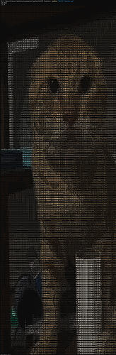 微信图片_20260224002811_5962_15